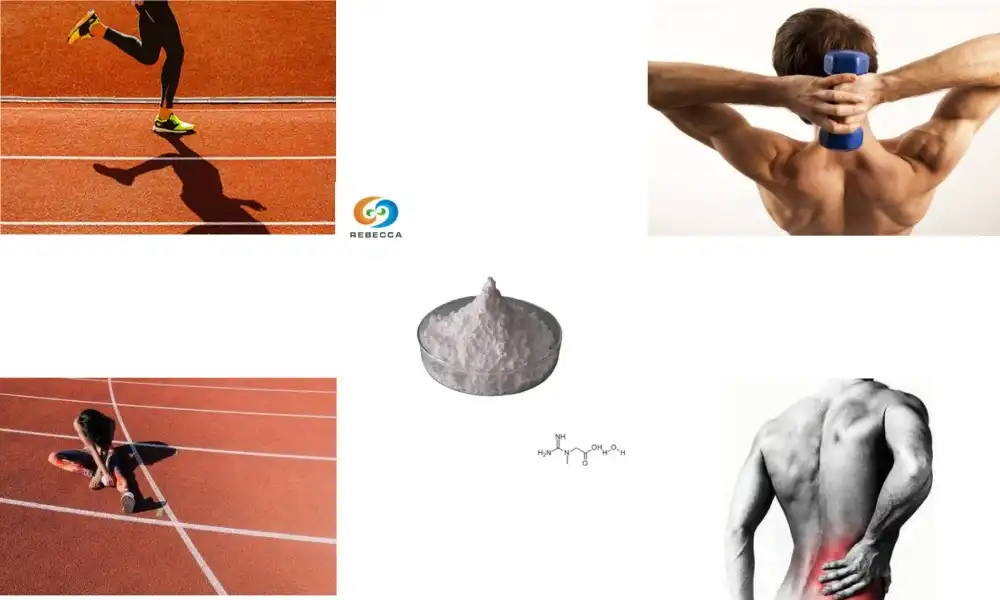 Creatine Monohydrate vs Creatine HCL: Which Is Better?